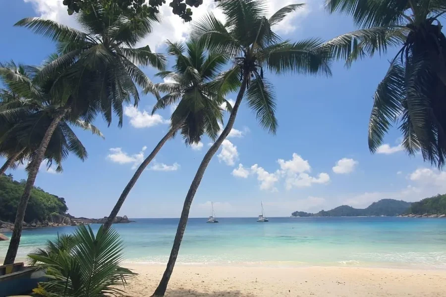 🕓Private Customized Tour: Explore Mahe beyond the ordinary