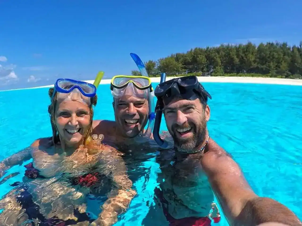 🕓Private Mnemba Island Dolphine tour with turtle swimming