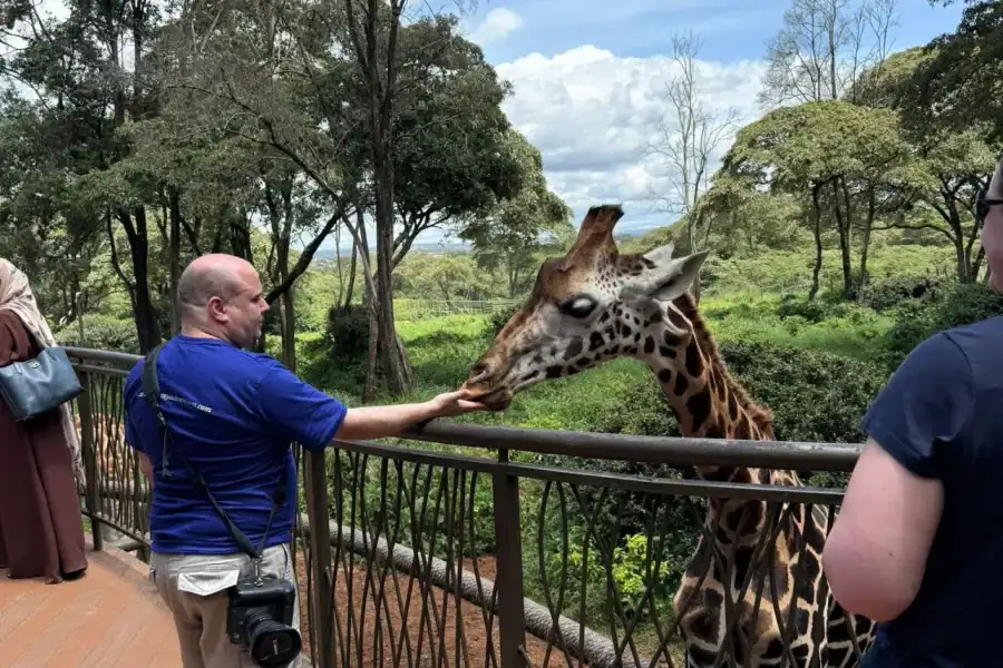 🕓Private Nairobi National Park, Elephant and Giraffe Centre.