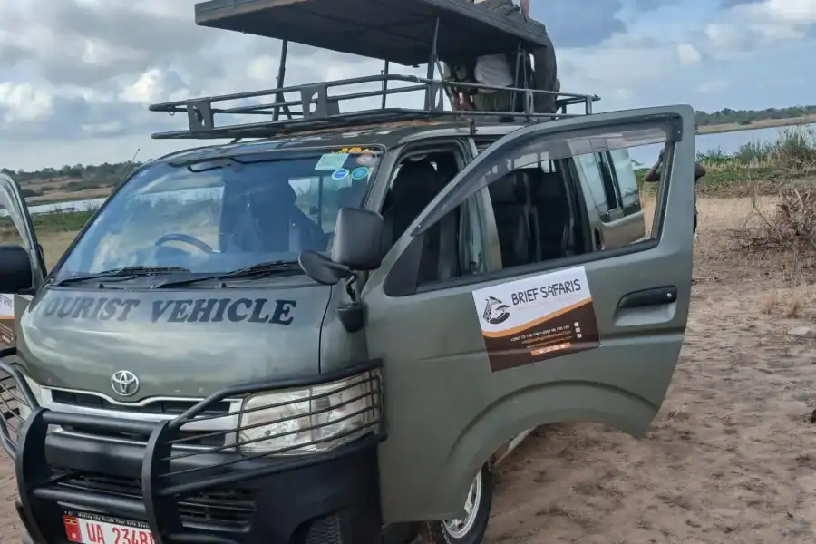 🕓Queen Elizabeth National Park 3-Day Safari with Boat Cruise