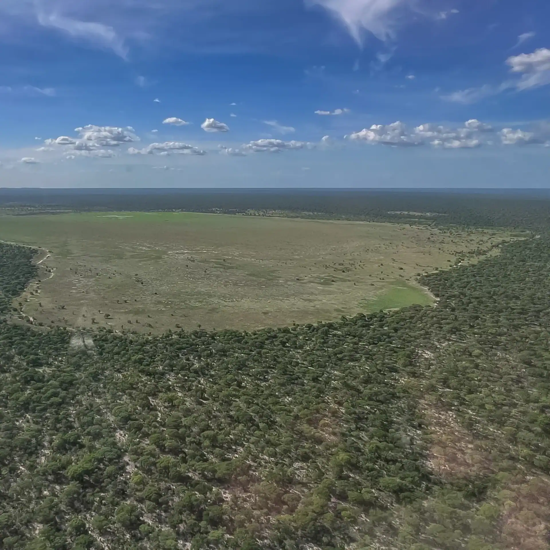 🌵 Mupa National Park (Angola)