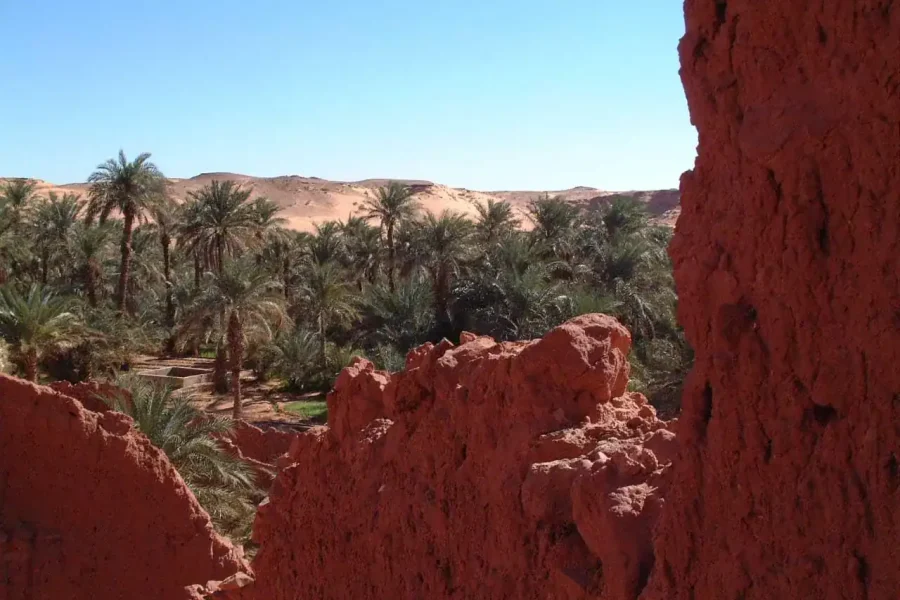 🕓Red Oasis Tales — A 4-Day Immersive Journey in Timimoun