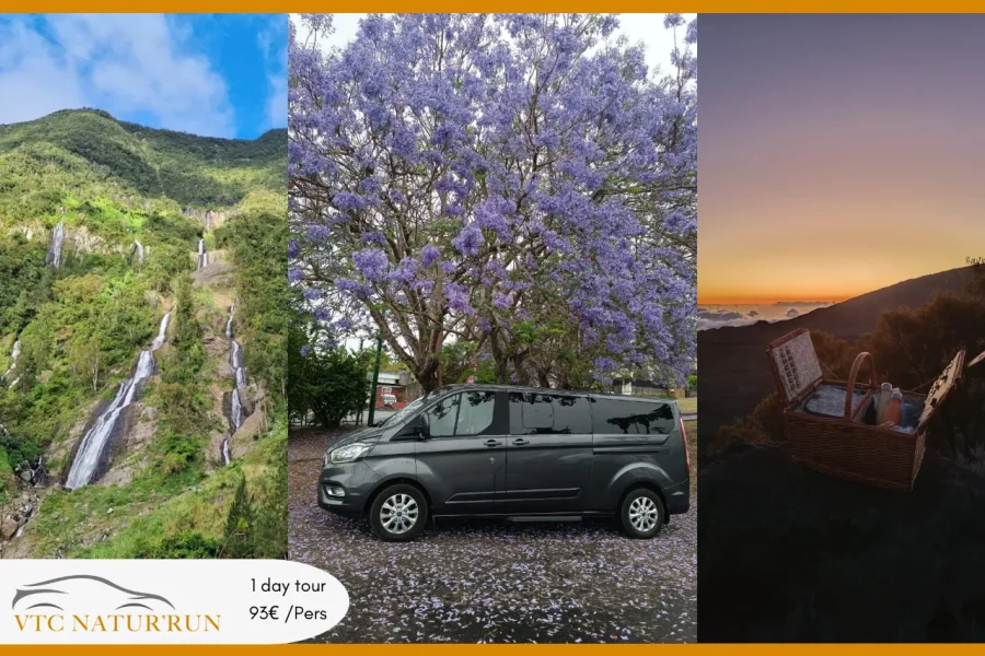 🕓Reunion Island: Full-Day Tour
