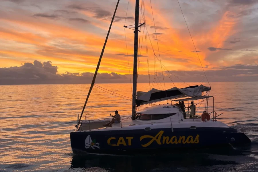 🕓Reunion Island: Premium Catamaran Cruise Tour from Saint-Gilles