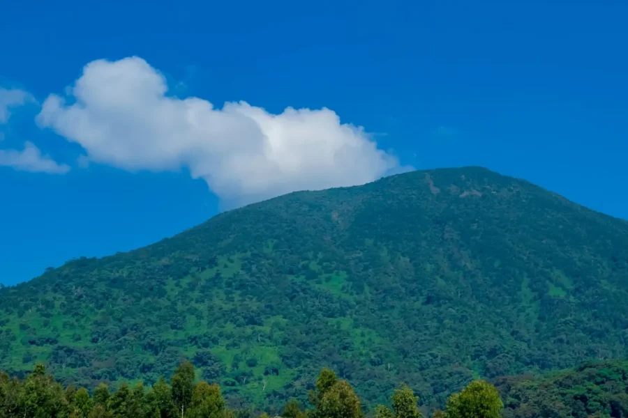 🕓Rwanda: Bisoke Volcano Hike with Round-Trip from Kigali