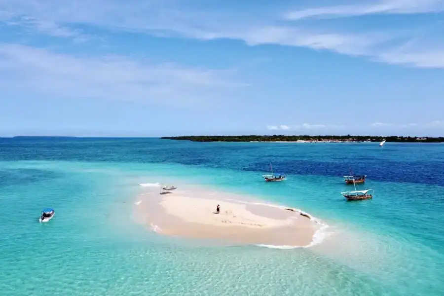 🕓SAFARI BLUE ZANZIBAR : PRIVATE TRIP