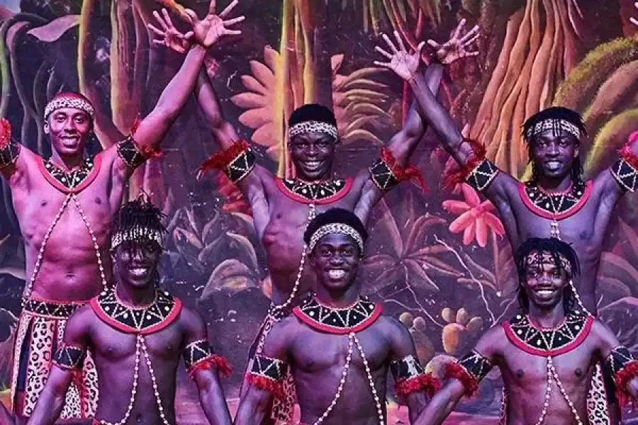 🕓Safari Park Hotel Dinner and Cat Dance Experience