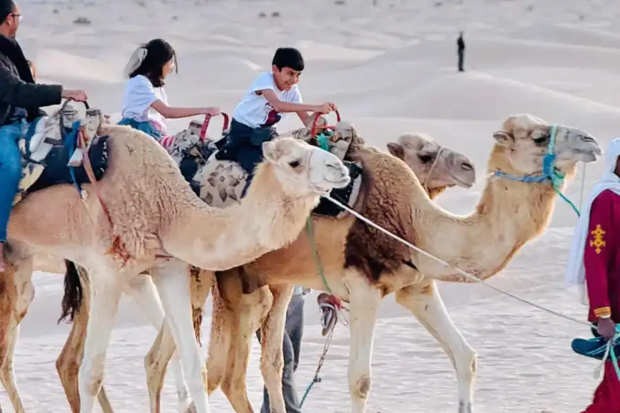 🕓Sahara Desert: Overnight Camel Trek in Tunisia