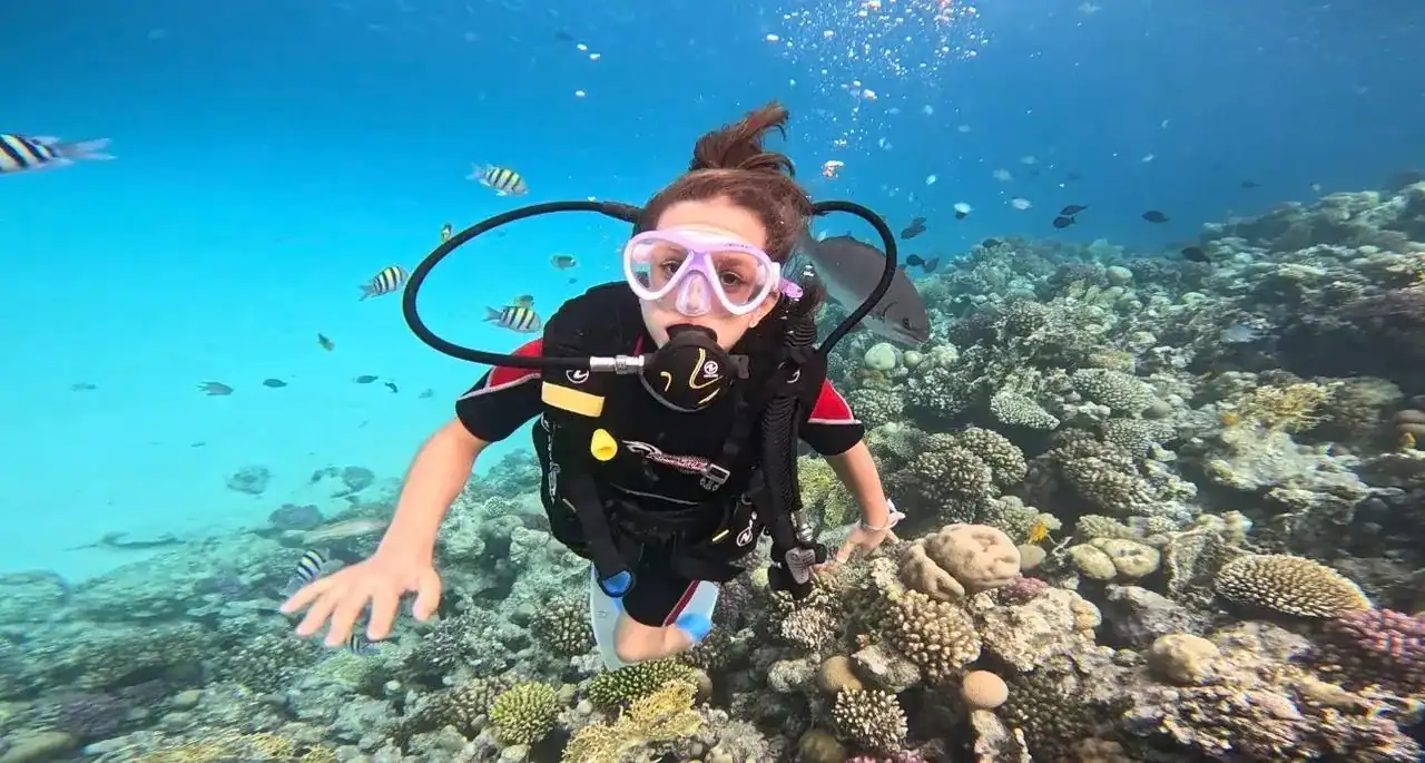 🕓Sahl Hasheesh Elite Beach Dive& Coral Reef Experience