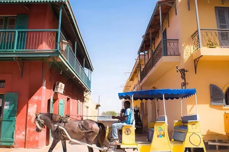 🕓Saint-Louis: Horse-Drawn Carriage Tour& Djoudj Park