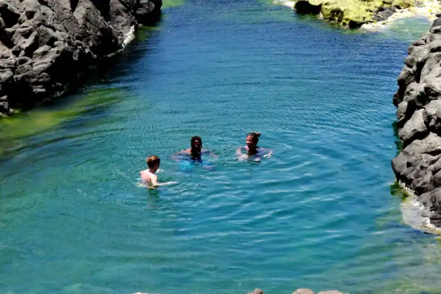 🕓Sal: All inclusive Salt Lake, Natural pools and Shark Bay