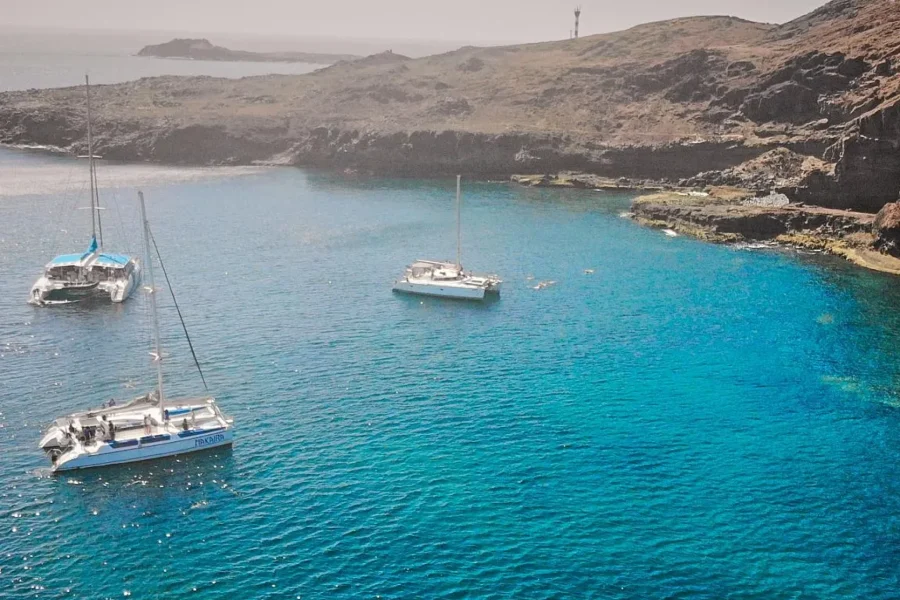 🕓Sal: Half-Day Catamaran Tour