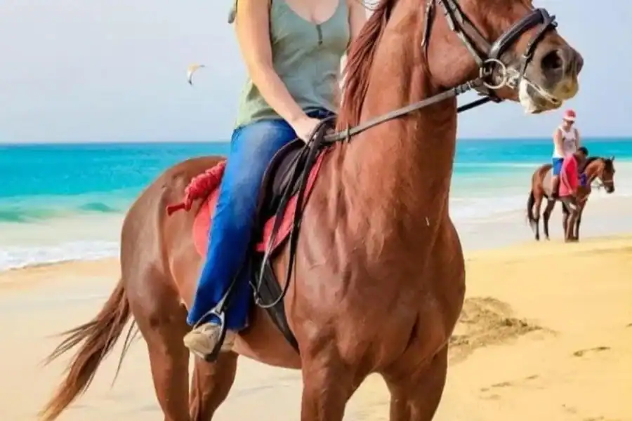 🕓Sal Island Horse Riding – Dunes, Beaches& Villages