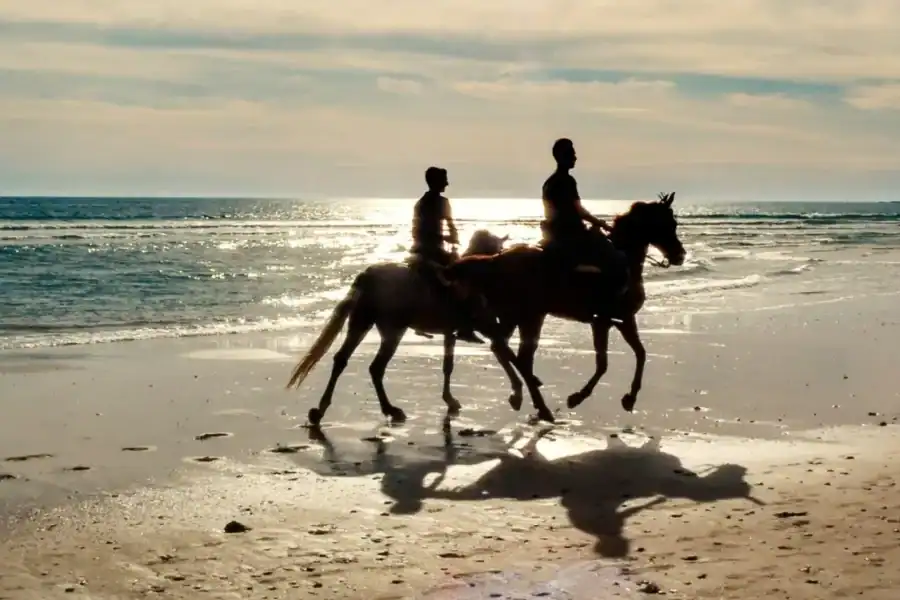 🕓Sal Island: Private Kite Beach Horseback Ride Experience