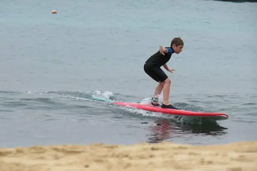 🕓Sal: Surf Lesson
