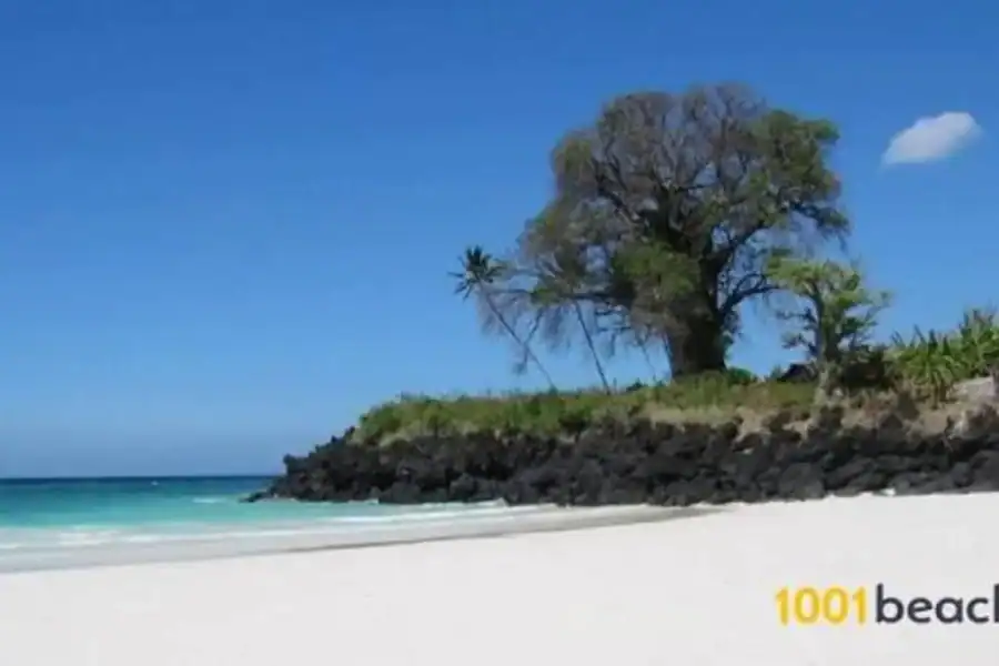 🕓Salaam Cave Swimming with turtles, Mtende Beach& The Rock