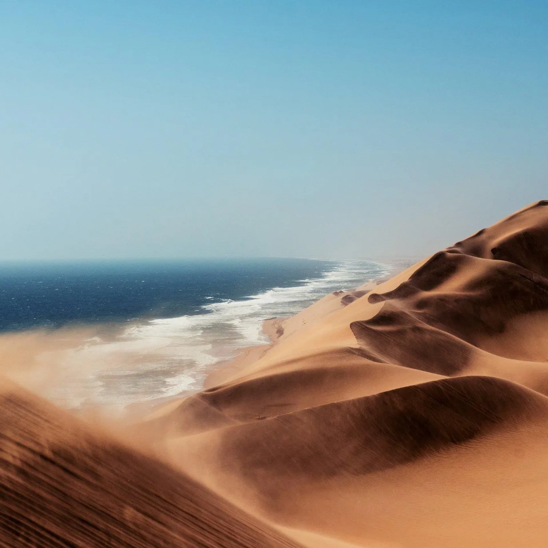 🕓Sandwich harbour r Kayak and dune tour