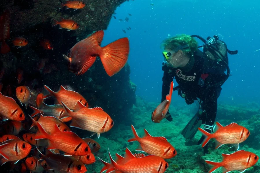 🕓Santa Maria: Discover Scuba Diving