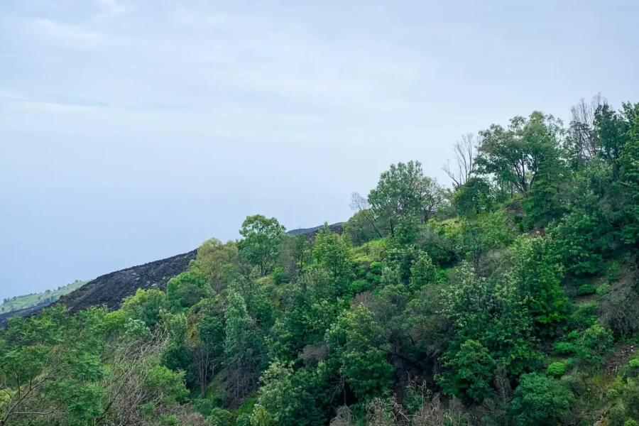 🕓Sao Filipe: Coffee Plantation and Natural Pools Day Trip