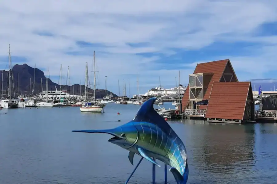 🕓São Vicente: Markets, Beaches and Natural Park Tour