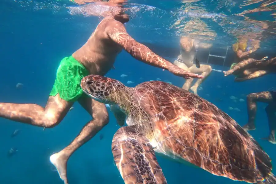 🕓São Vicente: Snorkeling with Turtles Breathtaking Experience