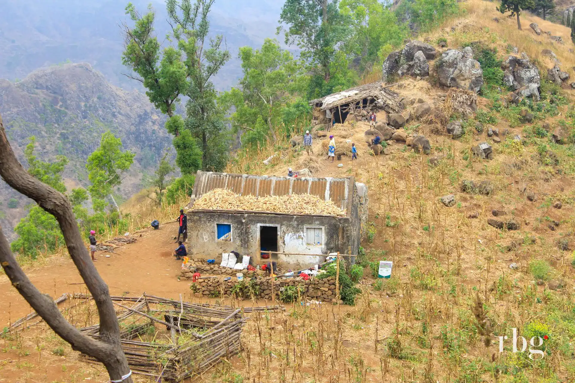 🕓Scenic Hike: The Hidden Gongon Valley and Local Experience