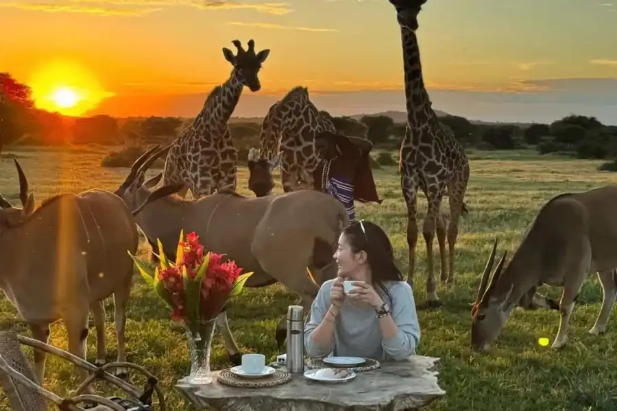 🕓SERVAL WILDLIFE DAY – TOUR FROM ARUSHA, MOSHI OR ZANZIBAR.