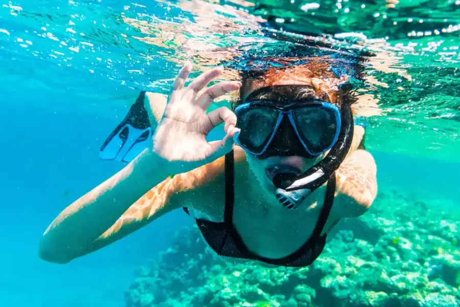 🕓Sharm El Sheikh: Snorkeling at Ras Mohamed& White Island