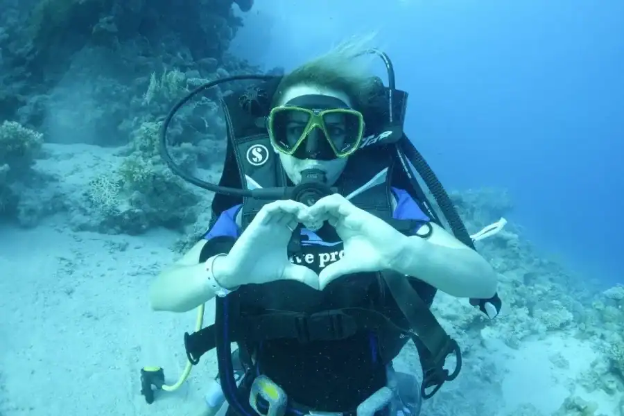 🕓Sharm: Tiran Island Snorkel& Diving Trip + Transfer& Lunch