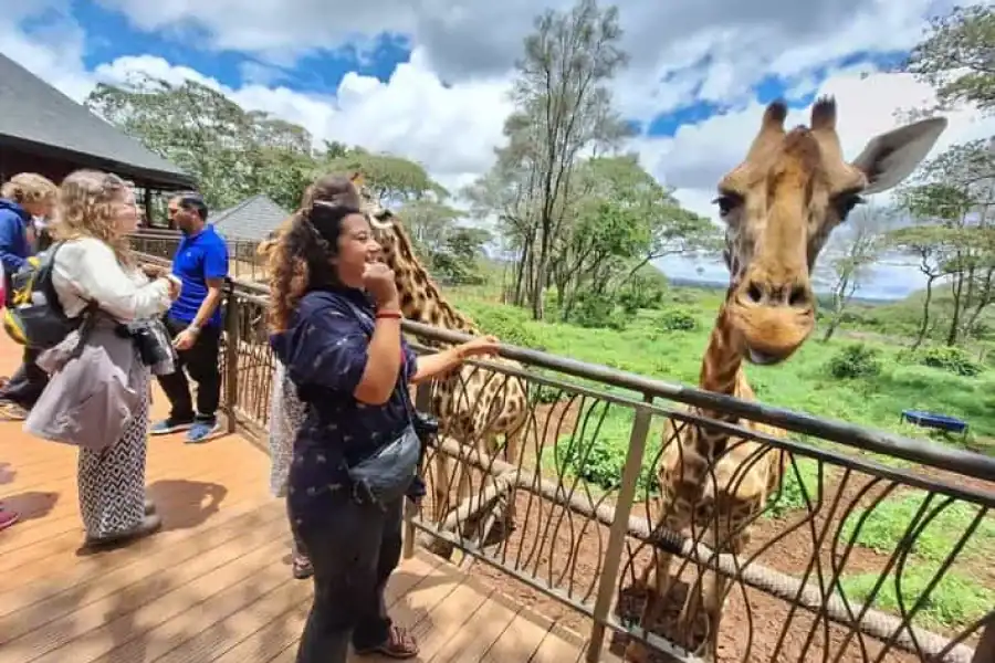 🚸Sheldrick Wildlife Trust&giraffe Center Guidedtour With Fees