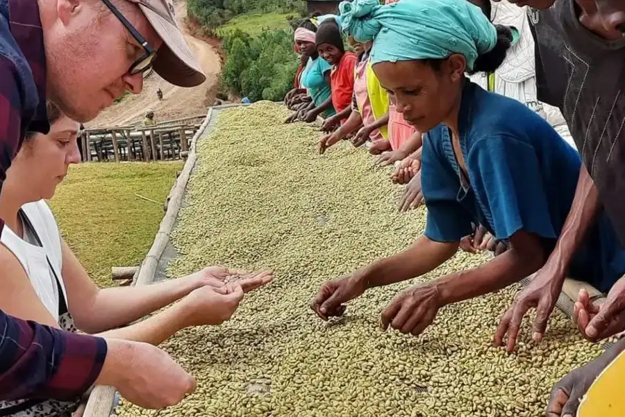 🕓Sidama& Yirgacheffe Coffee Adventure – 4 Days
