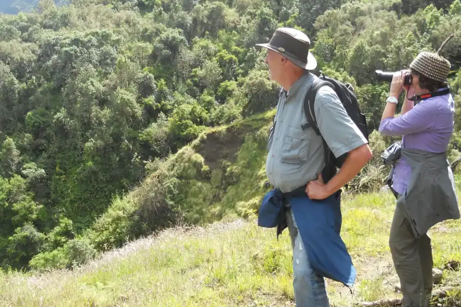 🕓Simien Mountains One Day Trip:Wildlife Spotting,Hiking Tour