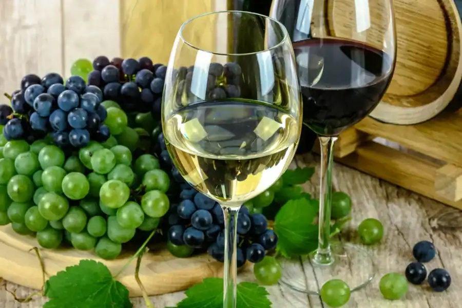 🕓Sip& Savor : A Perfect Half-day Wine Escape to Stellenbosch