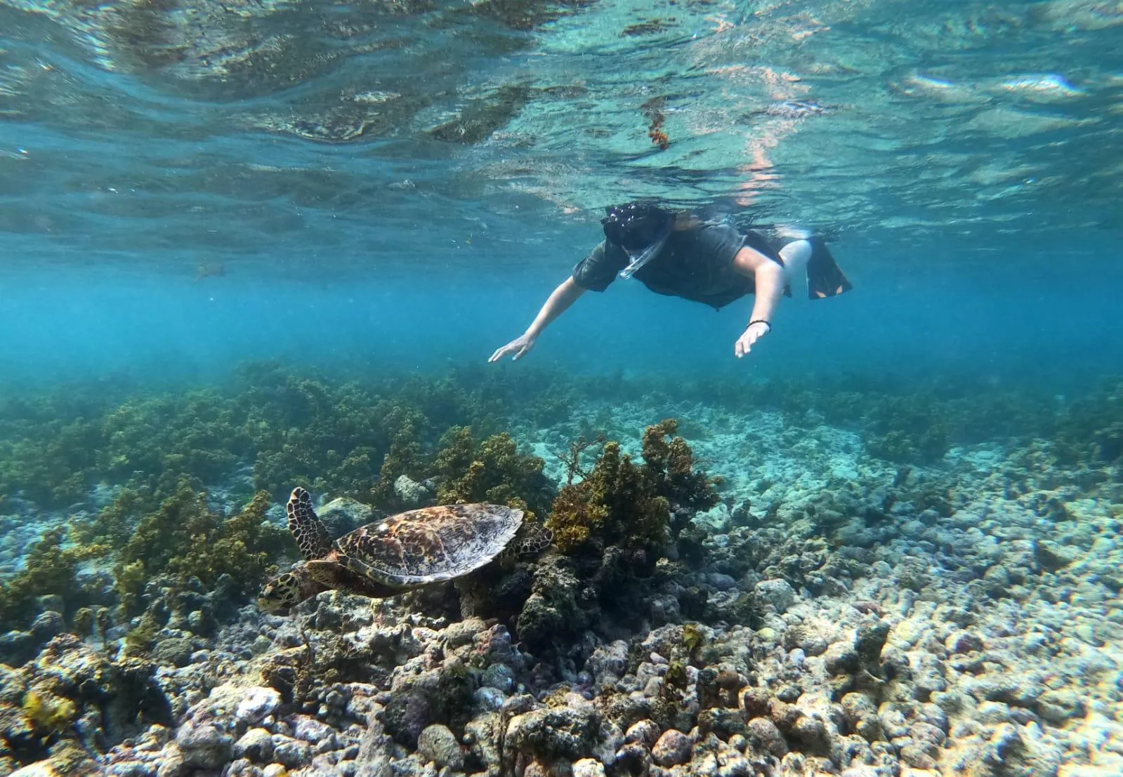🕓Snorkeling Coco Felicite& La Digue Island FullDay Boat Trip