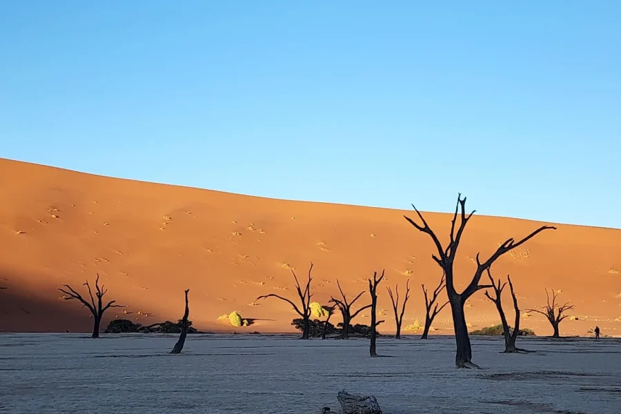 🕓Sossusvlei: 4×4 Drive 3-Day Sossusvlei Adventure