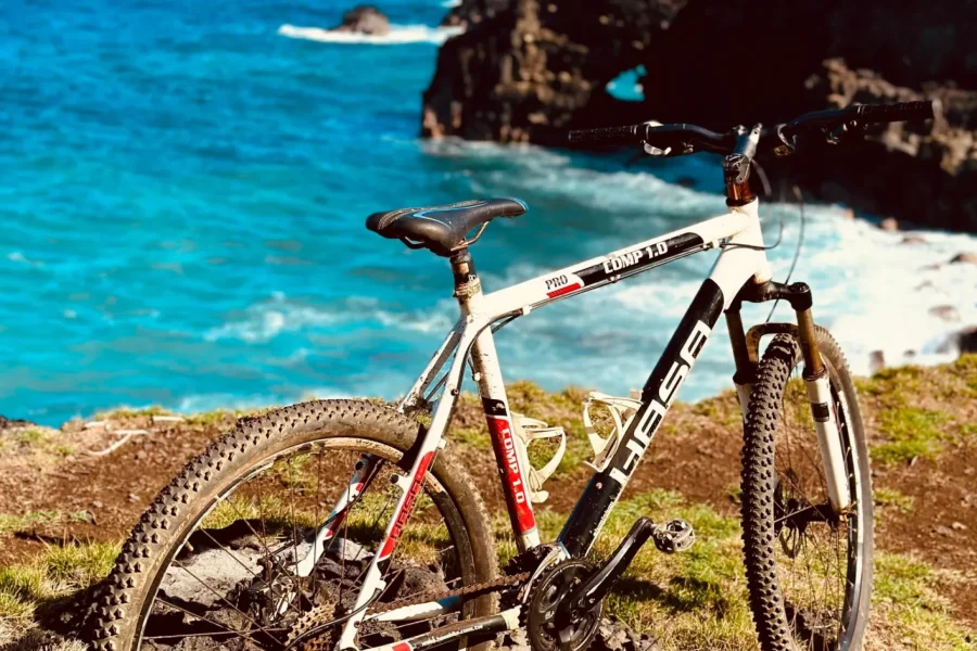 🕓South Discovery Eco Tour with Bike Ride and Picnic Lunch