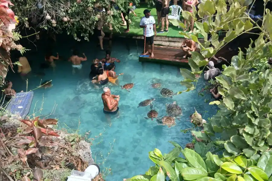 🕓Spice farm tour,Salam cave and Mtende beach + hotel pick up