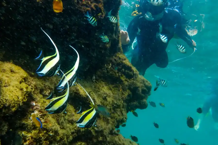 🕓St. Lucia: Cape Vidal Snorkeling Adventure