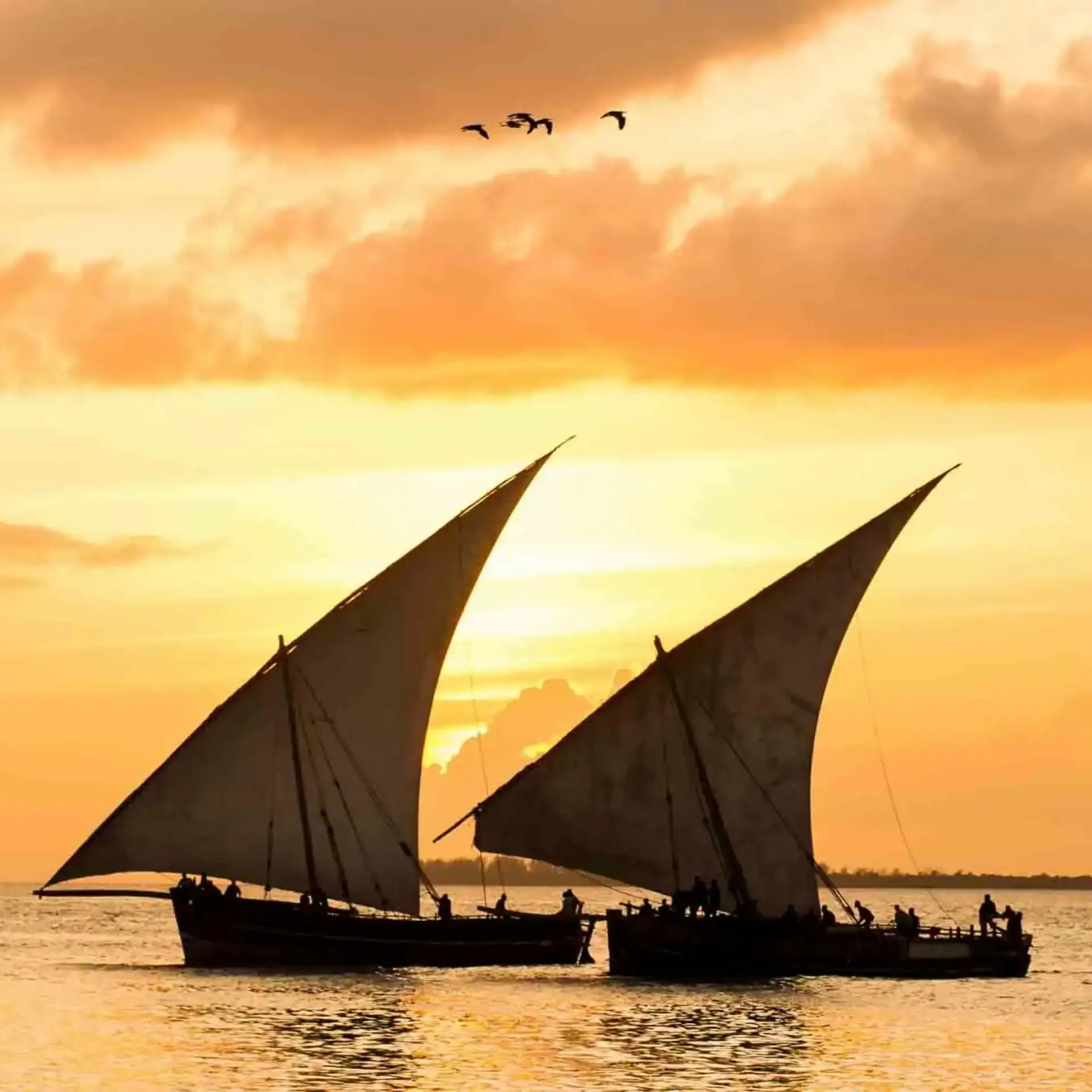 🕓Stone Town: Sunset Dhow Cruise Experience