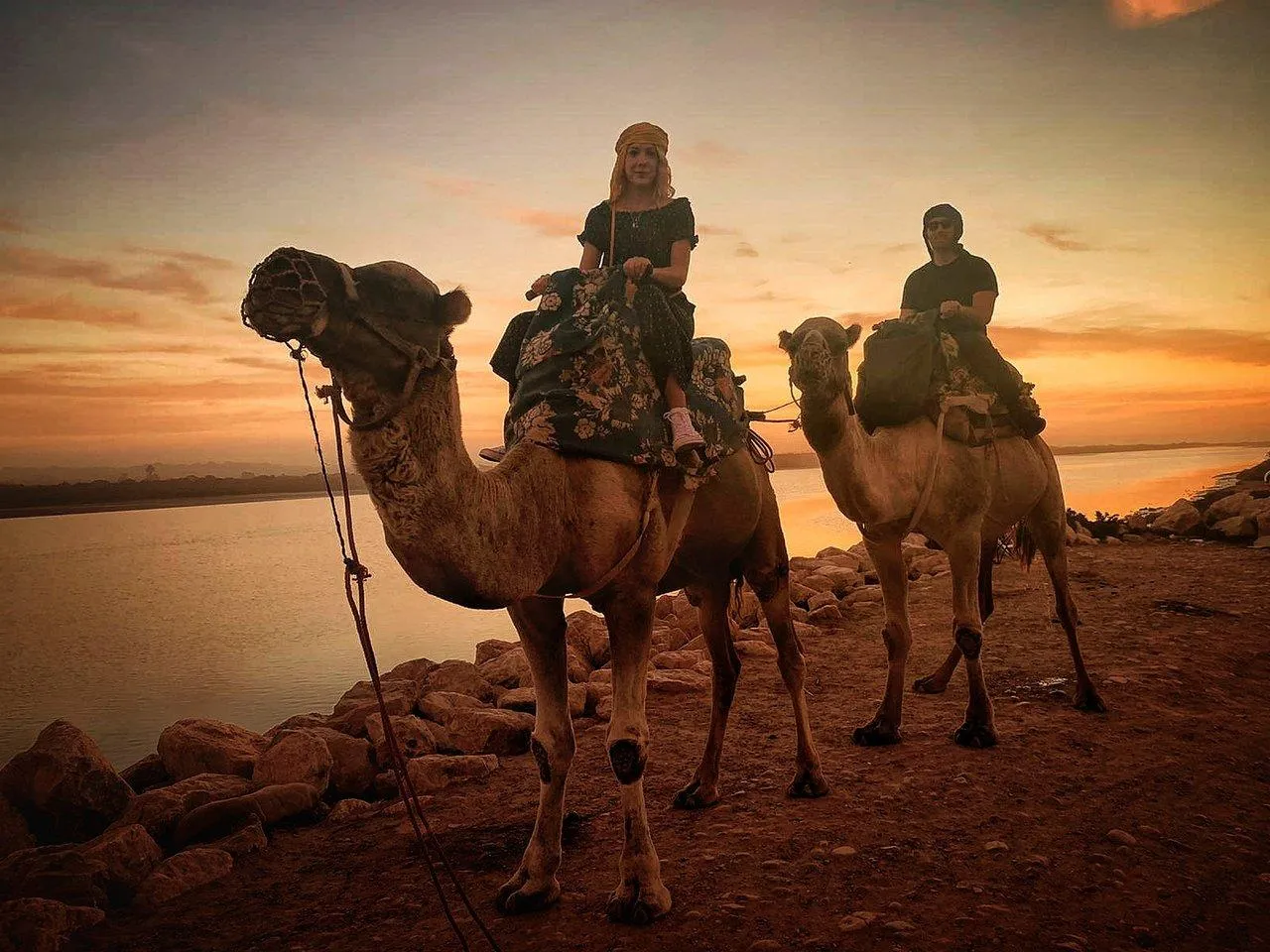 🕓Sunset Camel Riding Including BBQ Dinner& Hotel Transfers