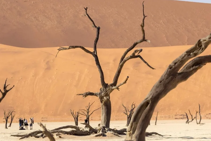 🕓Swakopmund: 3-Day Namib Signature Desert Tour