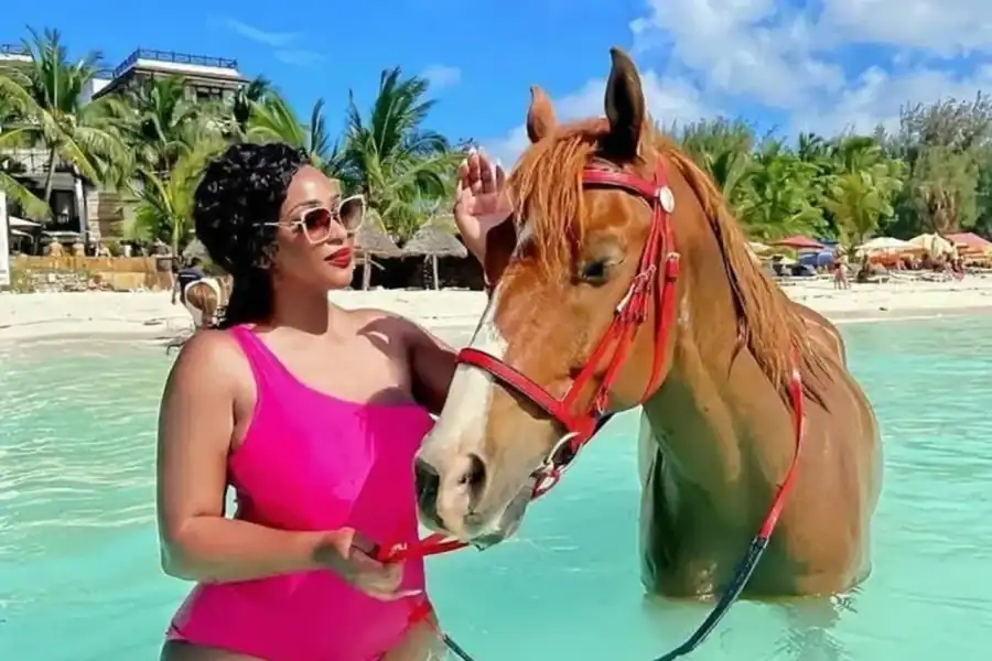 🕓Swim with Dolphins Mnemba, Snorkeling, Beach Horse Riding