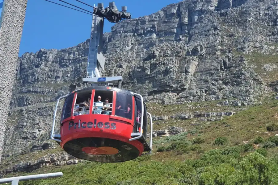 🕓Table Mountain, Penguins& Cape of Good Hope Private Tour