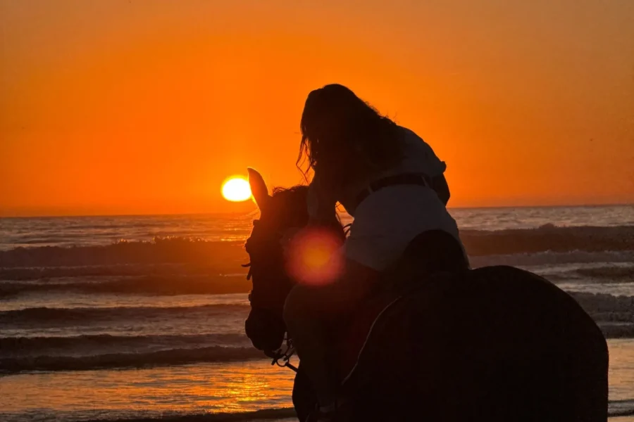 🕓Taghazout: Private Horse Ride on Banana Beach with Pickup