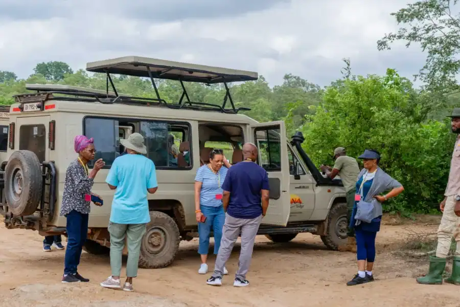 🕓Tamale: 3-Day Mole National Park Safari with Flights