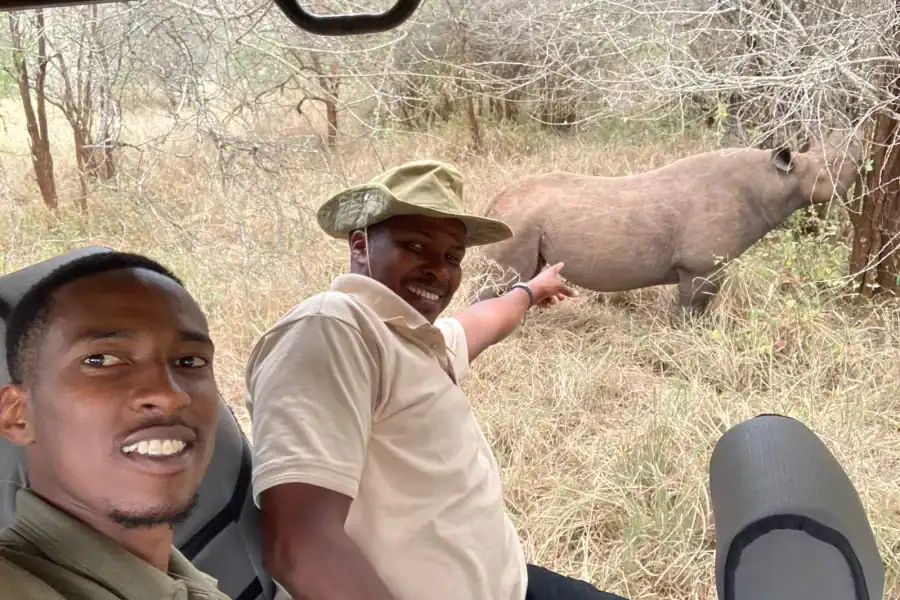 🕓Tanzania: 4-Day Wildlife Safari with Accommodation