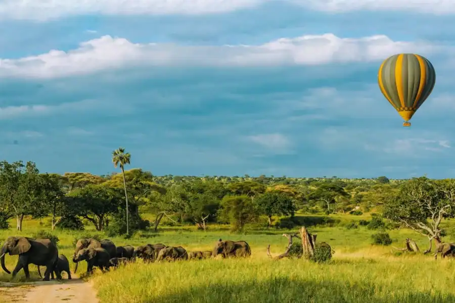 🕓Tarangire: Balloon Safari and Bush Breakfast