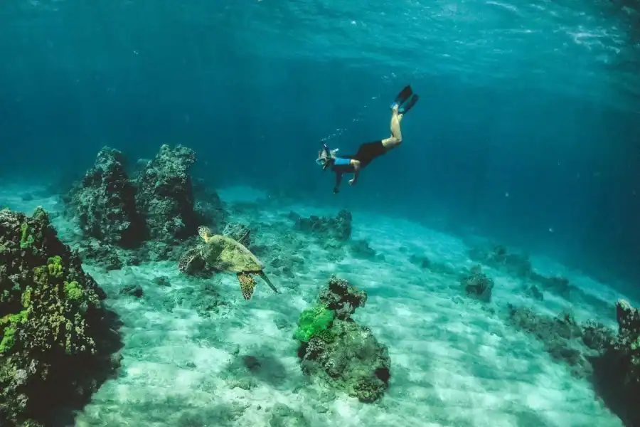 🕓Tarrafal: Snorkeling Trip Along the Coastline