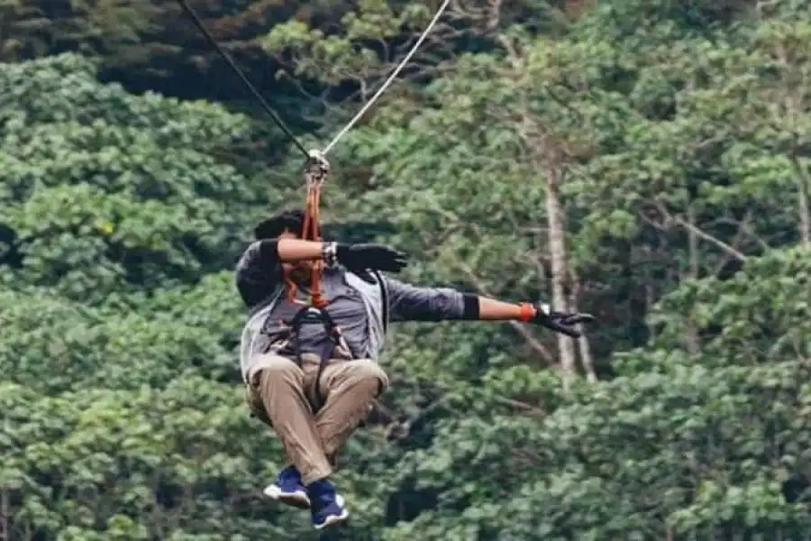 🚸The Forest Adventure Centre (kereita Forest) Day Trip