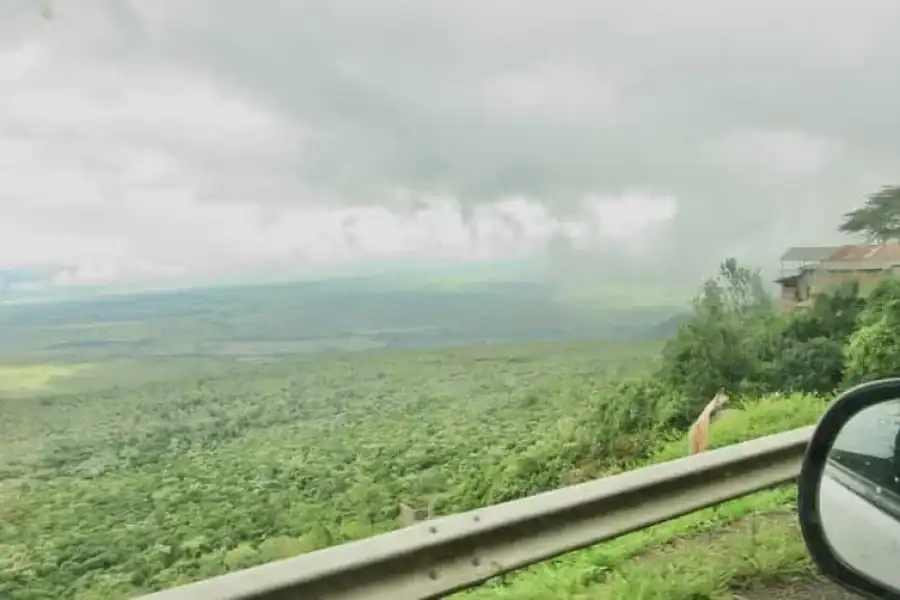 🚸The Great Rift Valley View Point & Souvenir Shopping